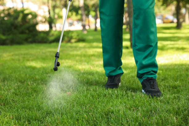 Best Mosquito Control Services  in Lewisburg, WV