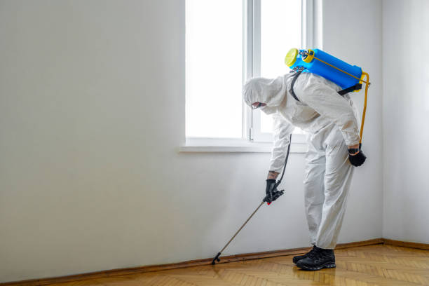 Best Pest Control for Businesses  in Lewisburg, WV