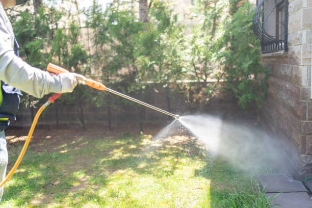 Best Pest Removal Services  in Lewisburg, WV